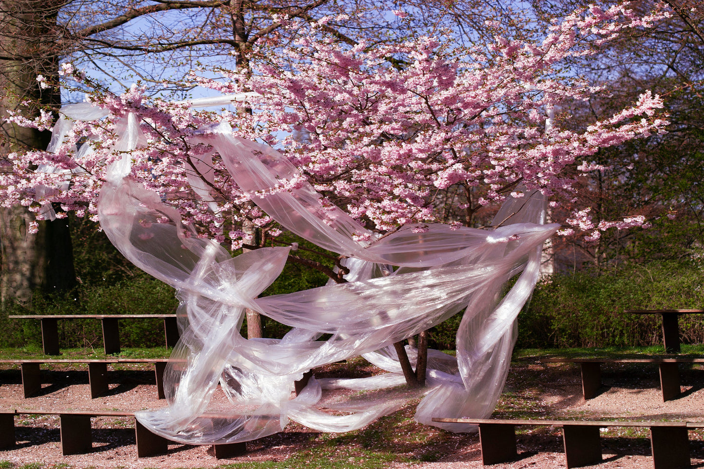 “Human Interaction” 2022 Limited Edition Print