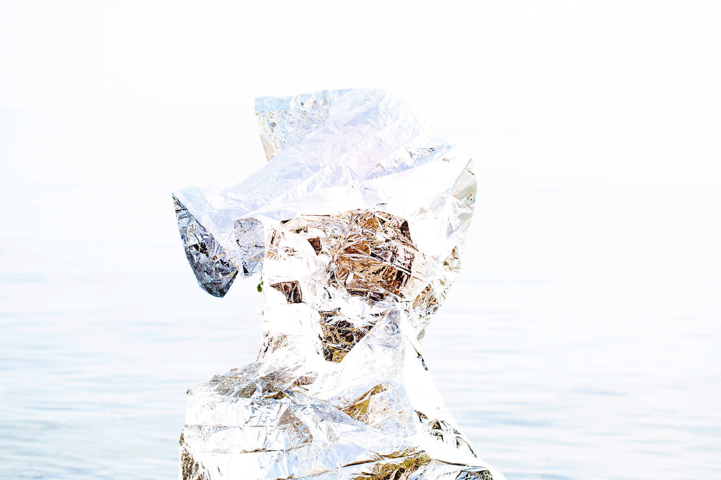 "Torso No Thoughts" 2022