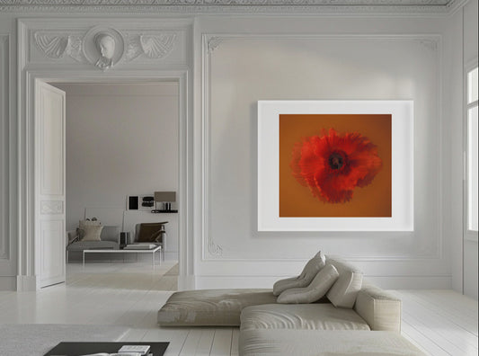 "Carpe Diem Deep Orange Pop With Scull" 2023, Limited Edition Print