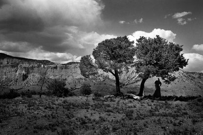 “Desert Love” 2007