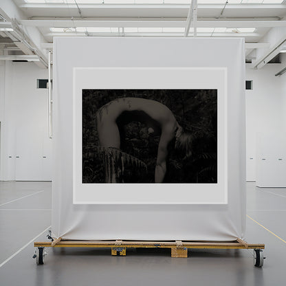 “Forrest Shadow, Fern nude” 2003, Limited Edition Print