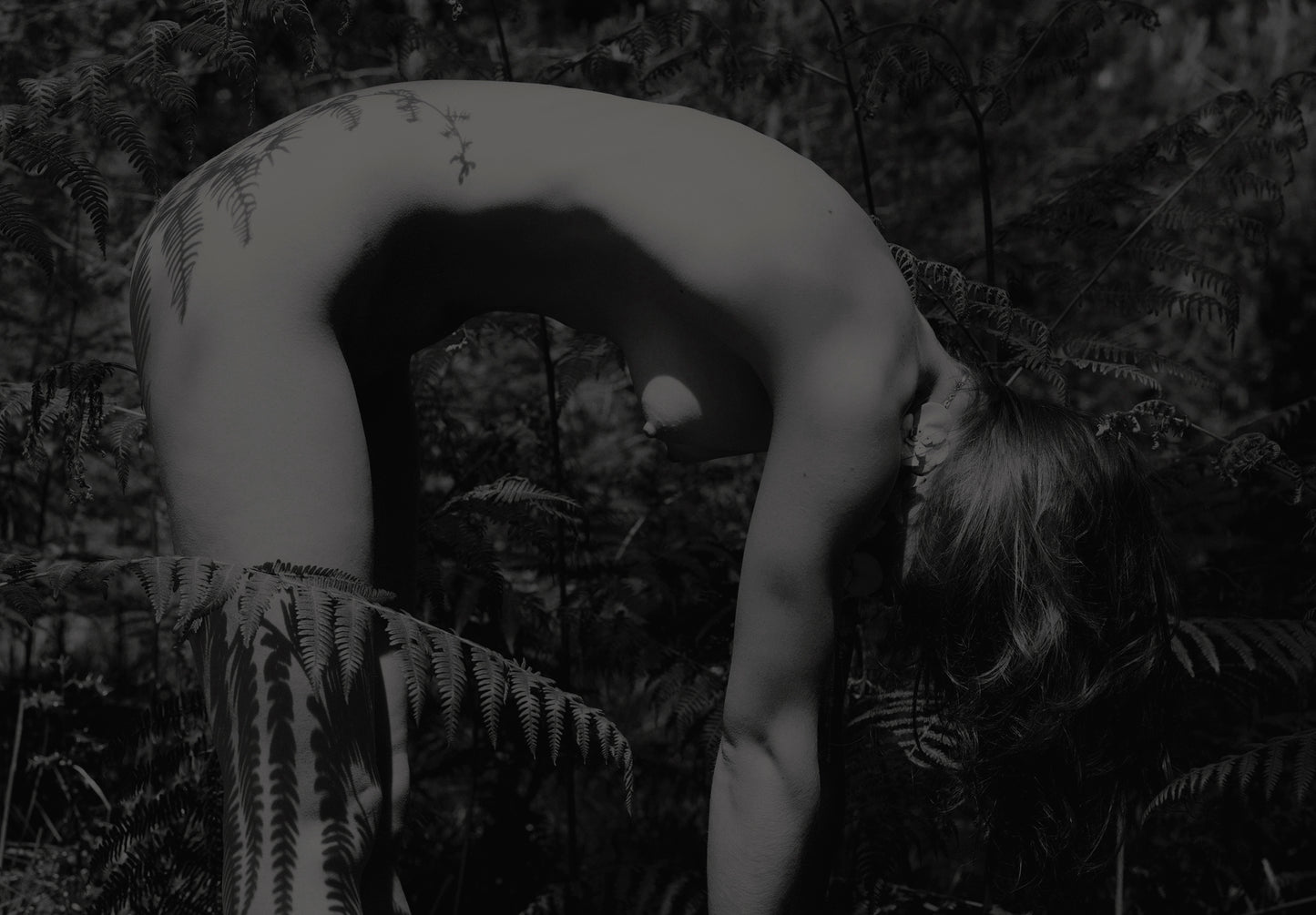 “Forrest Shadow, Fern nude” 2003, Limited Edition Print