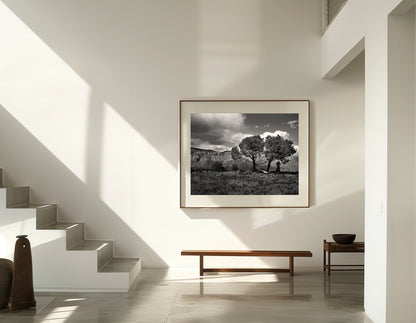 “Desert Love” 2007